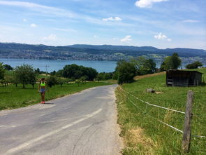 九游体育官网-“缆绳滑水：东桃花岛赛场呈现全新水上运动魅力”